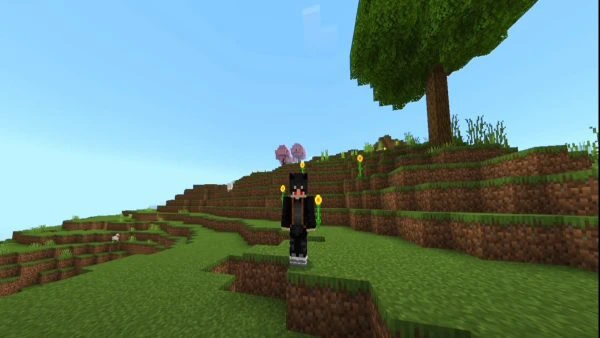 Minecraft 1.20.51.01 APKupdated 2